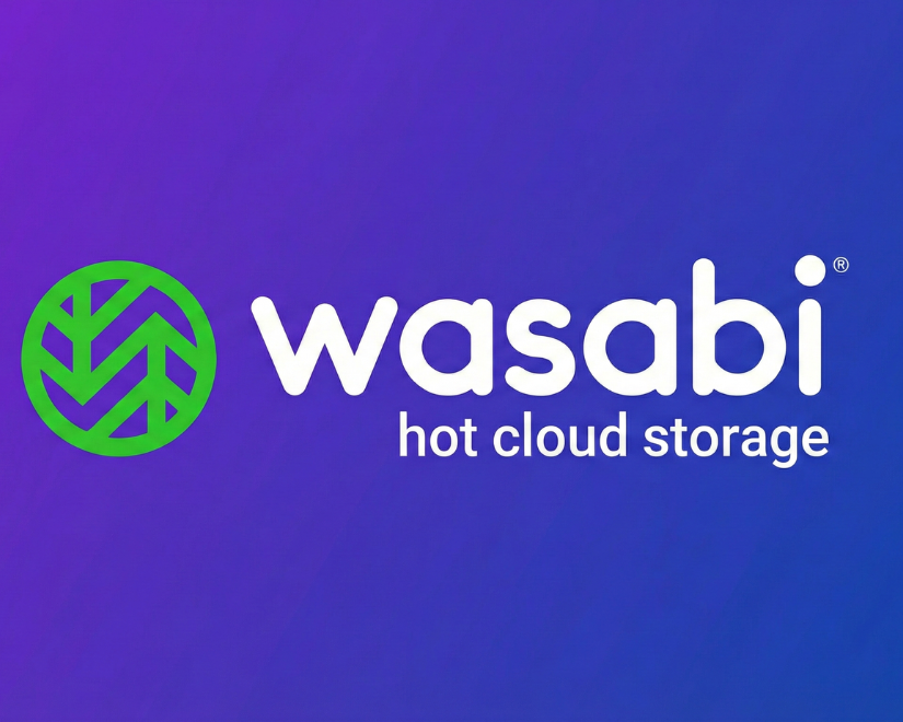 Wasabi Hot Cloud Storage logo – cloud storage and backup solutions provider in UAE